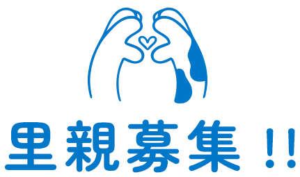 里親募集!!